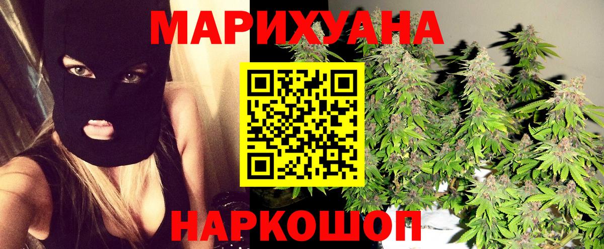 Конопля сатива Мичуринск